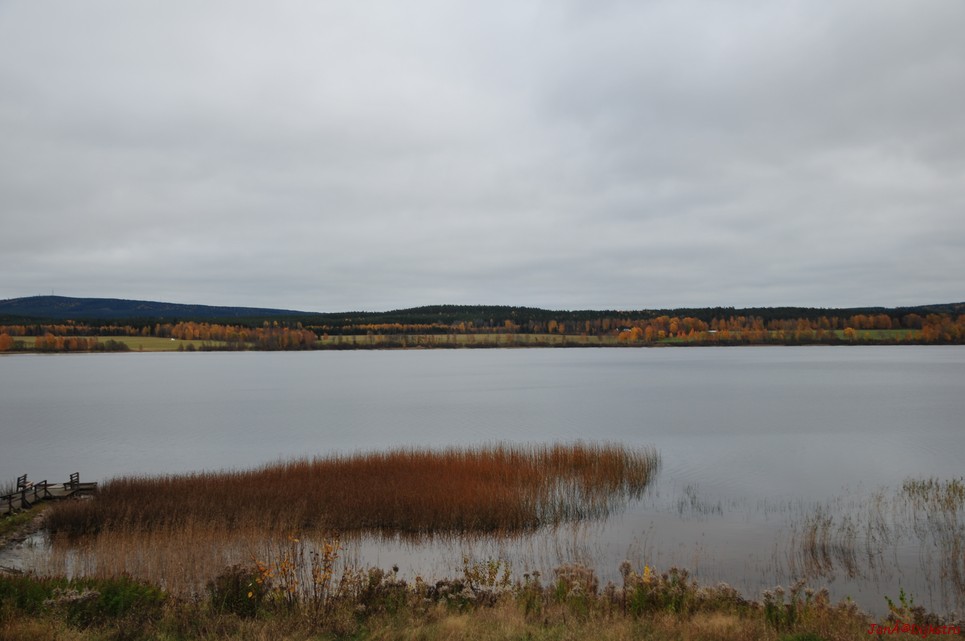 dsc_1530.jpg