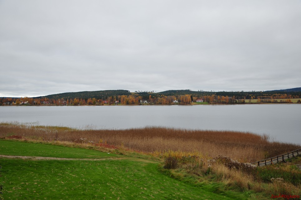 dsc_1531.jpg