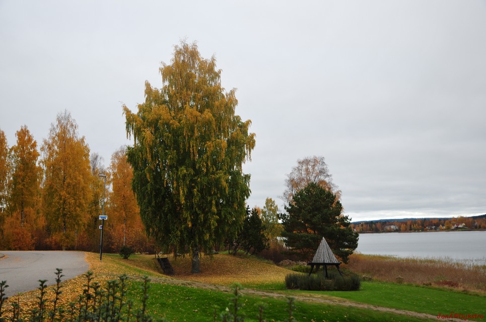 dsc_1533.jpg