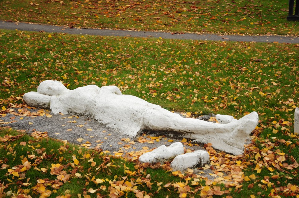 dsc_1536.jpg