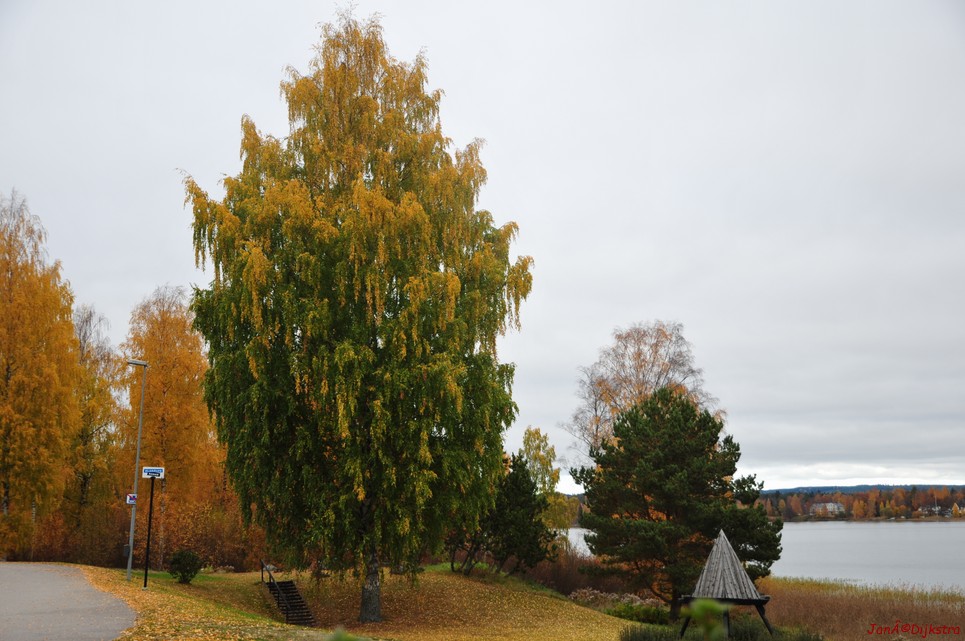 dsc_1539.jpg