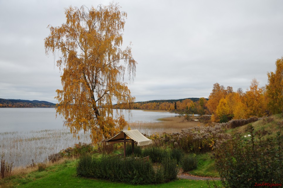 dsc_1540.jpg