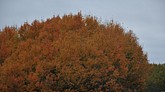 dsc_1340.jpg