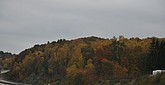 dsc_1342.jpg