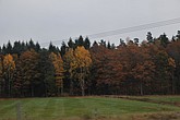 dsc_1348.jpg