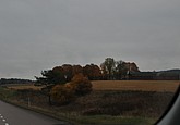 dsc_1351.jpg