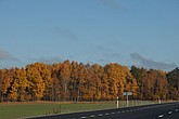 dsc_1354.jpg