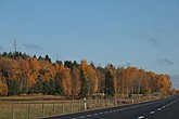 dsc_1355.jpg