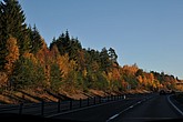 dsc_1356.jpg