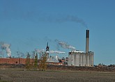 dsc_1374.jpg