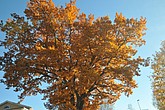 dsc_1388.jpg