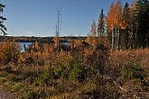 dsc_1391.jpg