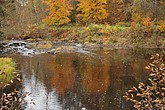 dsc_1426.jpg