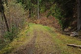 dsc_1449.jpg