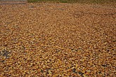 dsc_1458.jpg