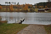 dsc_1459.jpg