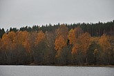 dsc_1462.jpg