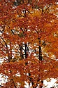 dsc_1479.jpg