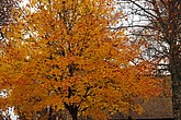 dsc_1480.jpg