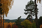 dsc_1481.jpg