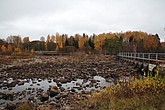 dsc_1495.jpg