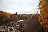 dsc_1519.jpg