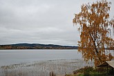 dsc_1529.jpg
