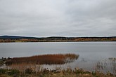 dsc_1530.jpg