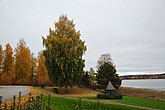 dsc_1533.jpg