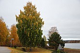 dsc_1539.jpg