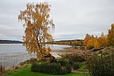 dsc_1540.jpg