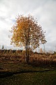 dsc_1570.jpg