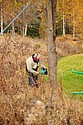 dsc_1590.jpg
