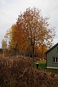 dsc_1591.jpg