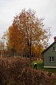 dsc_1592.jpg