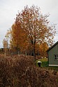 dsc_1593.jpg