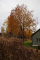 dsc_1594.jpg