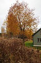 dsc_1596.jpg