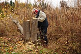 dsc_1665.jpg