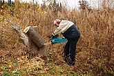 dsc_1669.jpg