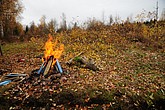 dsc_1678.jpg
