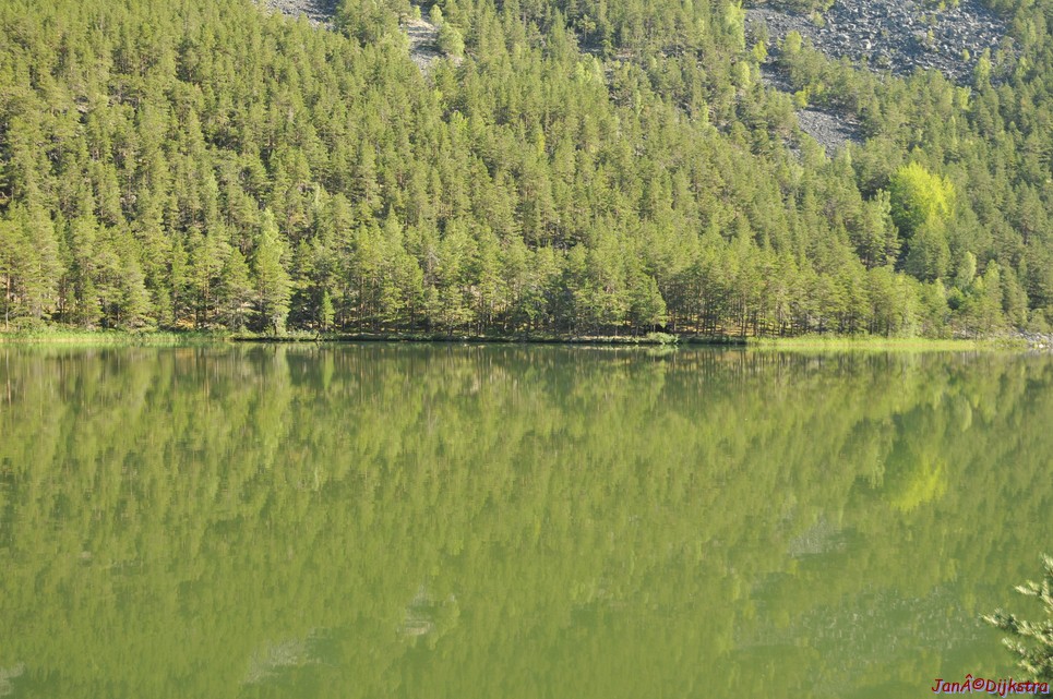 DSC_0665.JPG
