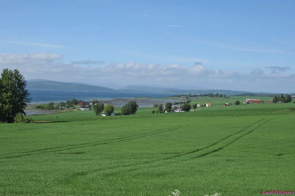 DSC_0698.JPG