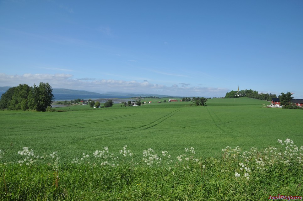 DSC_0699.JPG
