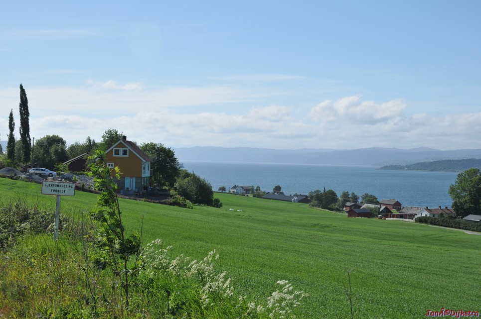 DSC_0702.JPG
