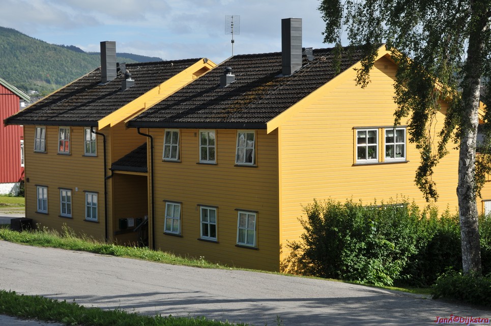 DSC_0705.JPG