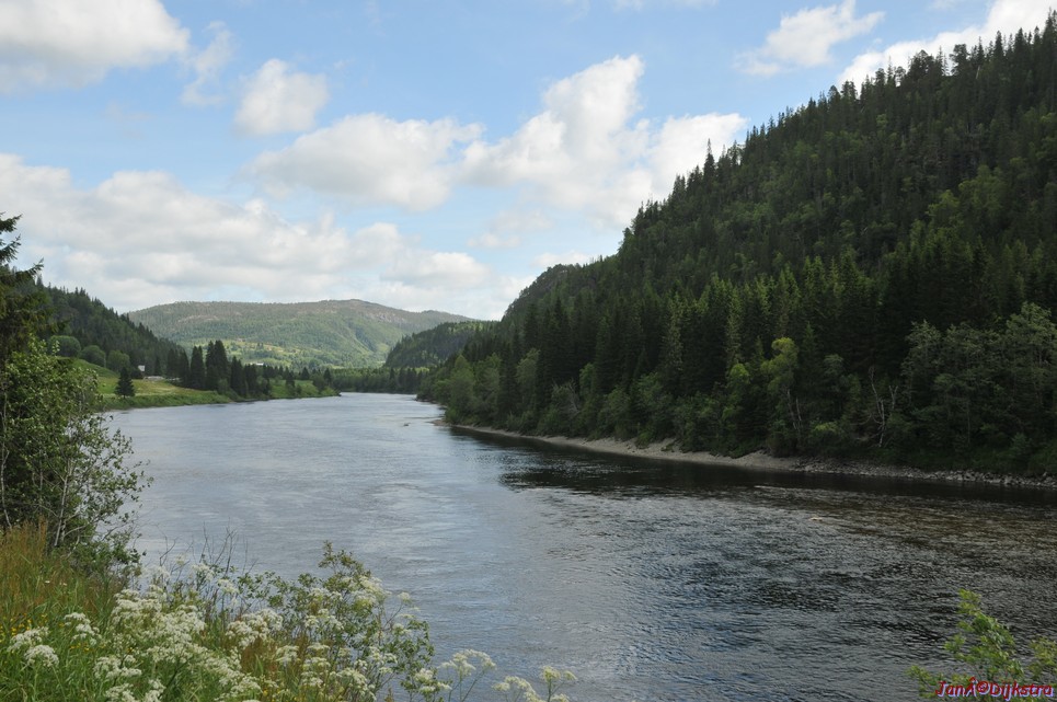 DSC_0710.JPG