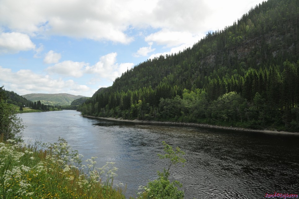DSC_0711.JPG