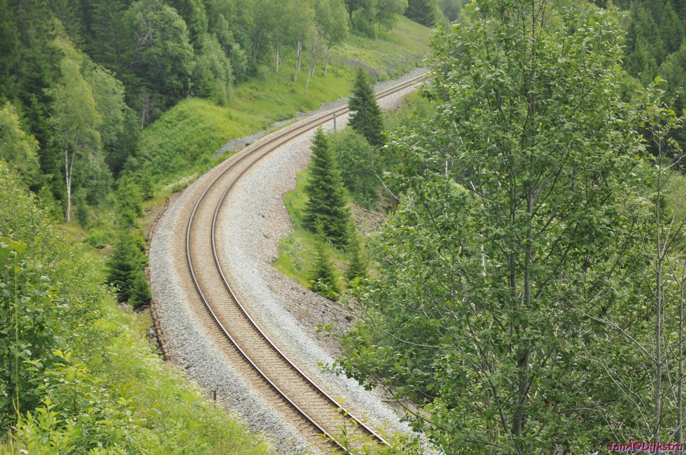 DSC_0716.JPG
