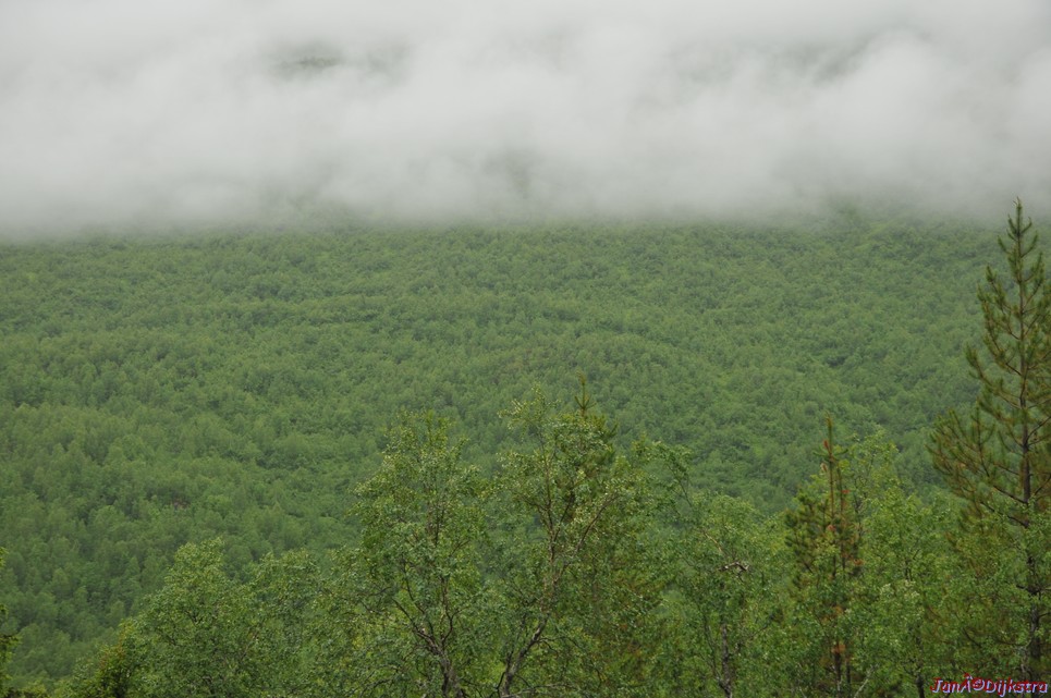 DSC_0738.JPG